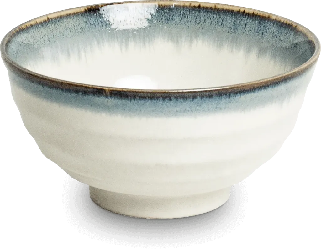 SHINJU Udon Schale D17 H8,7
