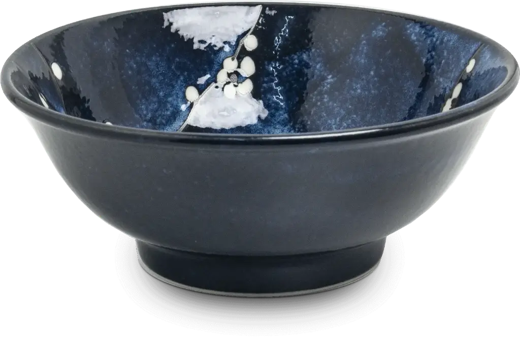 HANA BLUE Pho Schale D22 H9