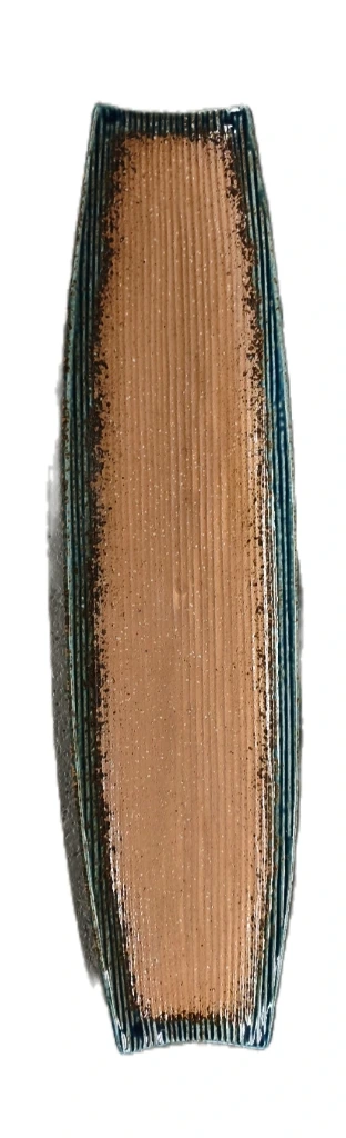 Platte lang , oval Hellbraun matt mit glanzblauem Rand 52x13x2,5cm