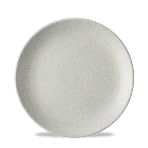 Delta Grey Evolve Plate    21.7 8 2/3" Box 12