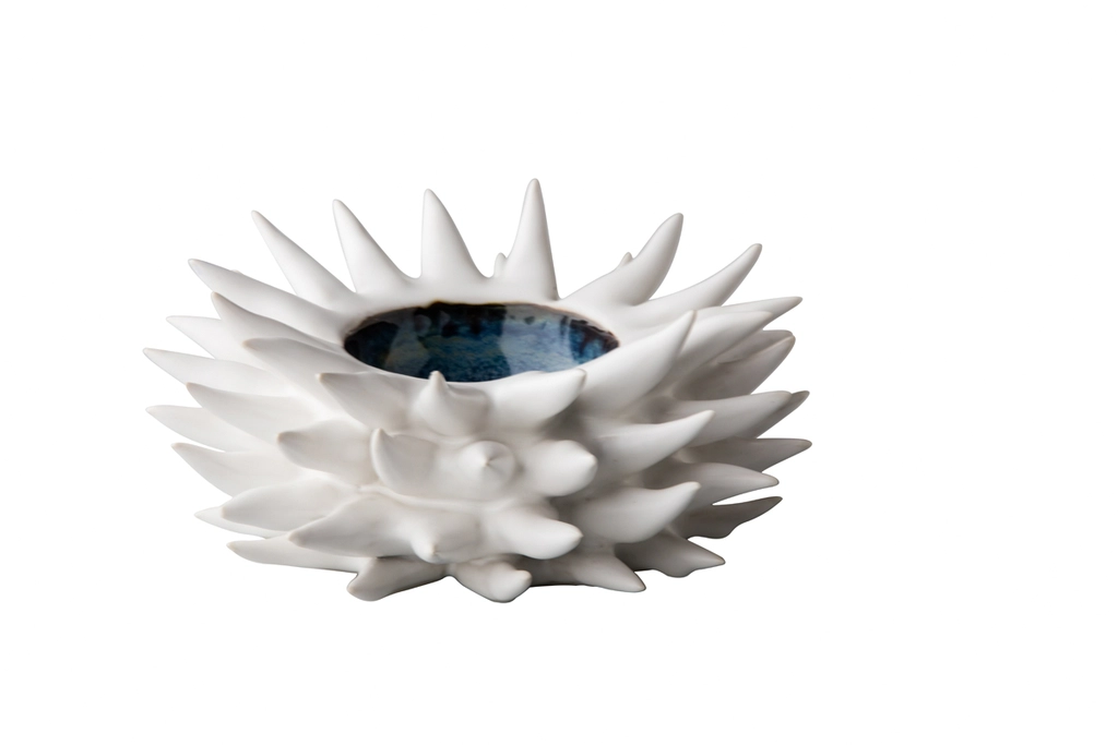STRD19165  Sea hedgehog 18 cm